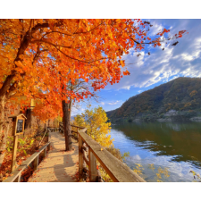 NAMI ISLAND - EVERLAND PARK - HERO SHOW - FRUIT HARVEST