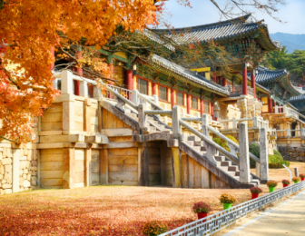 Timecrafted: The Soulful Journey of Gyeongbuk