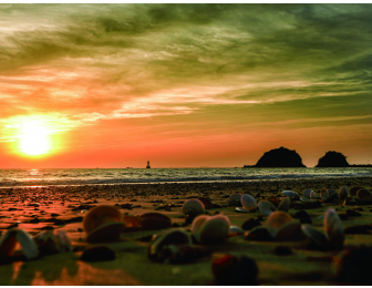 Taean Healing Sea & Traditional Fermentation Experience Day Tour